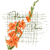 Gladiole original andere Schriftart