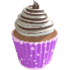 Cupcake Vanilla and Chocolate