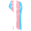 Transgender Faust Trans Pride