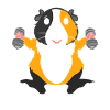 Guinea Pig Fitness Bodybuilding Gym