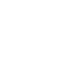 Wachtel Wachteln