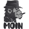 Mondnacht Gangsteraffe Moin