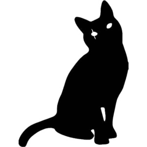 Czarny kot ðŸ�ˆ â¬›