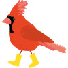 Cardinal in rubber boots Illustration