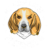 BEAGLE avec piercings