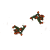 Pasha