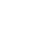 Turtle Turtle