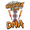 Cricket Sport Cricketer Batsman Gift