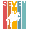 7 ans chevalier anniversaire d’enfant