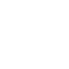 The starry night