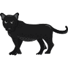 Panther