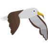 Albatross