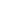 Crazy Turtle Lady