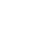 WW2 Panzer Jagdpanther