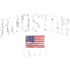 Houston Texas Vintage Flag