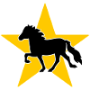 Cheval d’Islande/Étoile