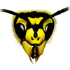 EUROPEAN WASP