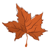 Autumn Leaf Autumn Leaf