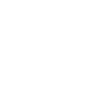 Bullterrier Hunde