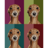 Greyhound4Colours