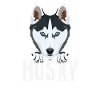 Smiling husky