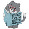 Funny Cat Read Book