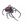 Spinne