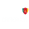 Équipe de football cameroun