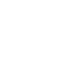 Space Shuttle