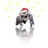Weihnachten Spinne Springspinne