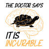 Turtle Turtle