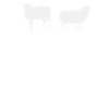 Schafe Schaf Schäfer Geschenk