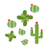 cactus,cactus love, plants,cacti,desert,cacti