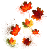 autumn,leaves,illustration,graffiti,indian summer