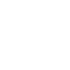 Brasseur