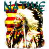 Native chief on USA flag
