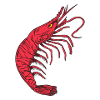Shrimp Languste Krabbe