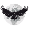 Raven Moon