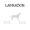 Hund Labrador