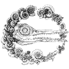 Ichthyosaurus Ammonite Geology Paleontology 2