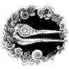 Ichthyosaurus Ammonite Géologie Paléontologie 1