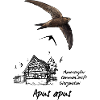 Swift with half-timbered house