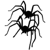 Spider Spiders Animals Crawling Disgust Horror