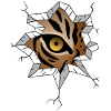 Tigerauge