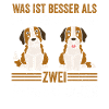 Zwei Bernhardiner Hund Bernhardiner