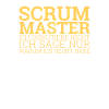 "Scrum Master Diskutiere | "Scrum Master""