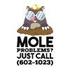 Chimie Mole Mole Chimie