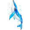 Whale