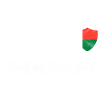 Madagascar Football Team