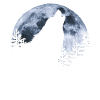 Wolf howls moon - Wolf's silhouette